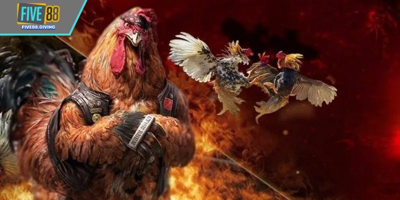 Đá Gà Chọi Miền Bắc – Nghệ Thuật Từ Truyền Thống Cổ Xưa