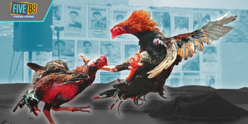 Giới thiệu thông tin cơ bản về đá gà Thomo